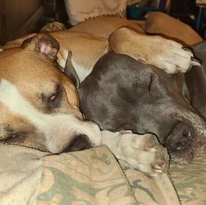 Meet your Posher, Katherine